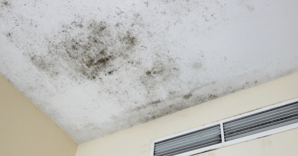 Mold from hvac system